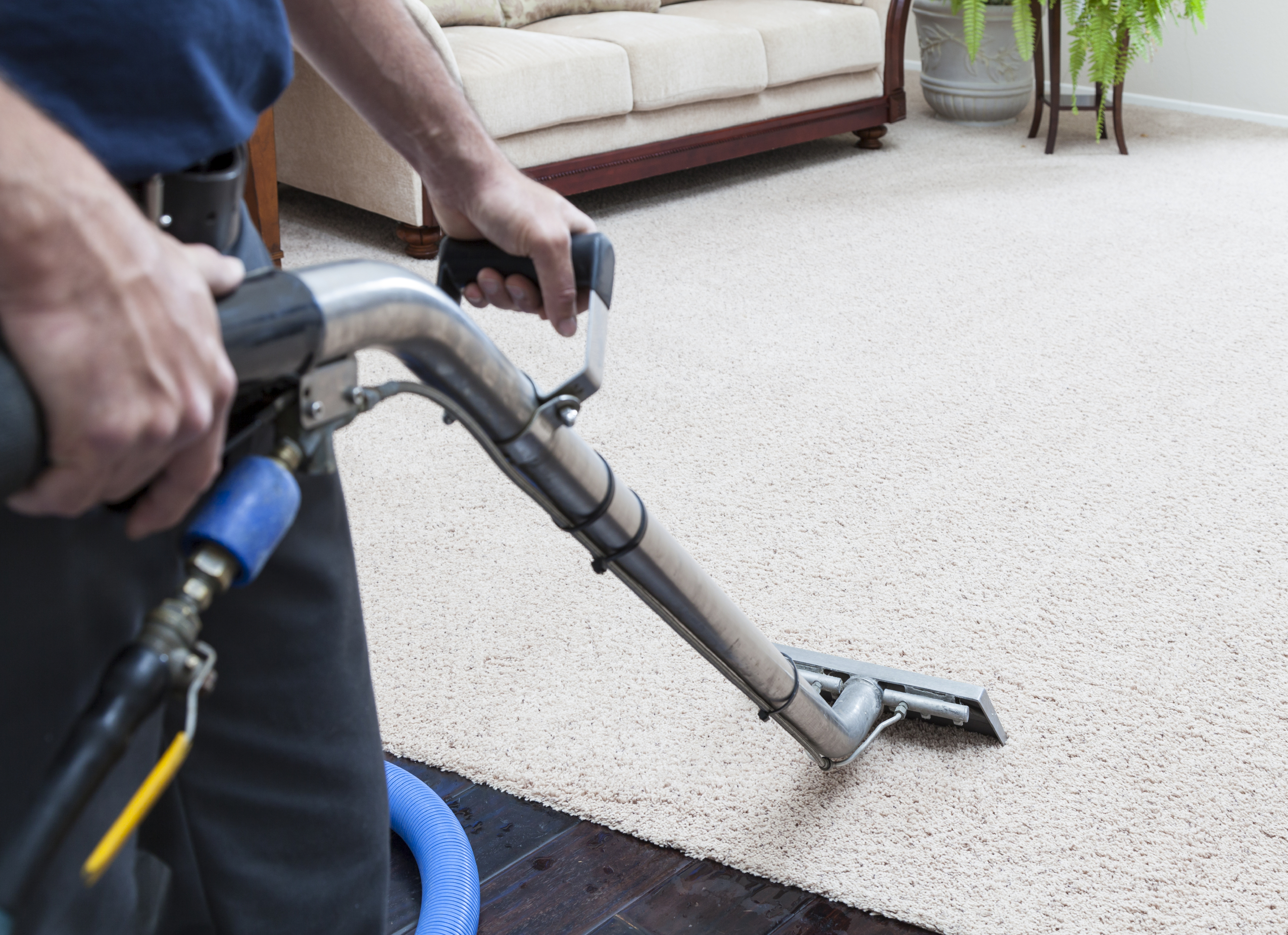 Carpet Cleaning in NYC