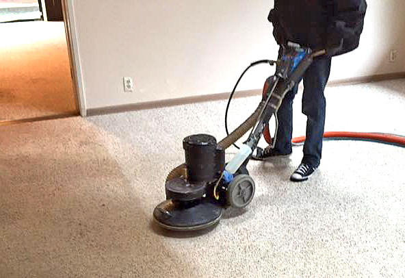 Ace Carpet Cleaning Services