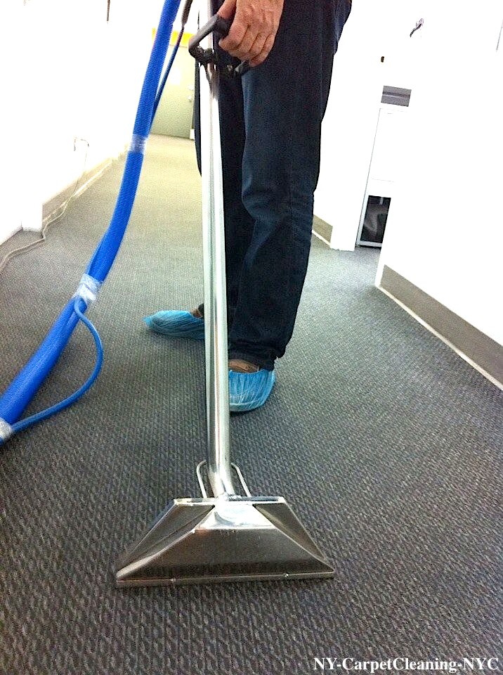 Carpet cleaning frequency
