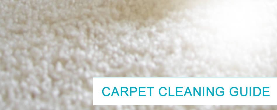 carpet cleaning guide