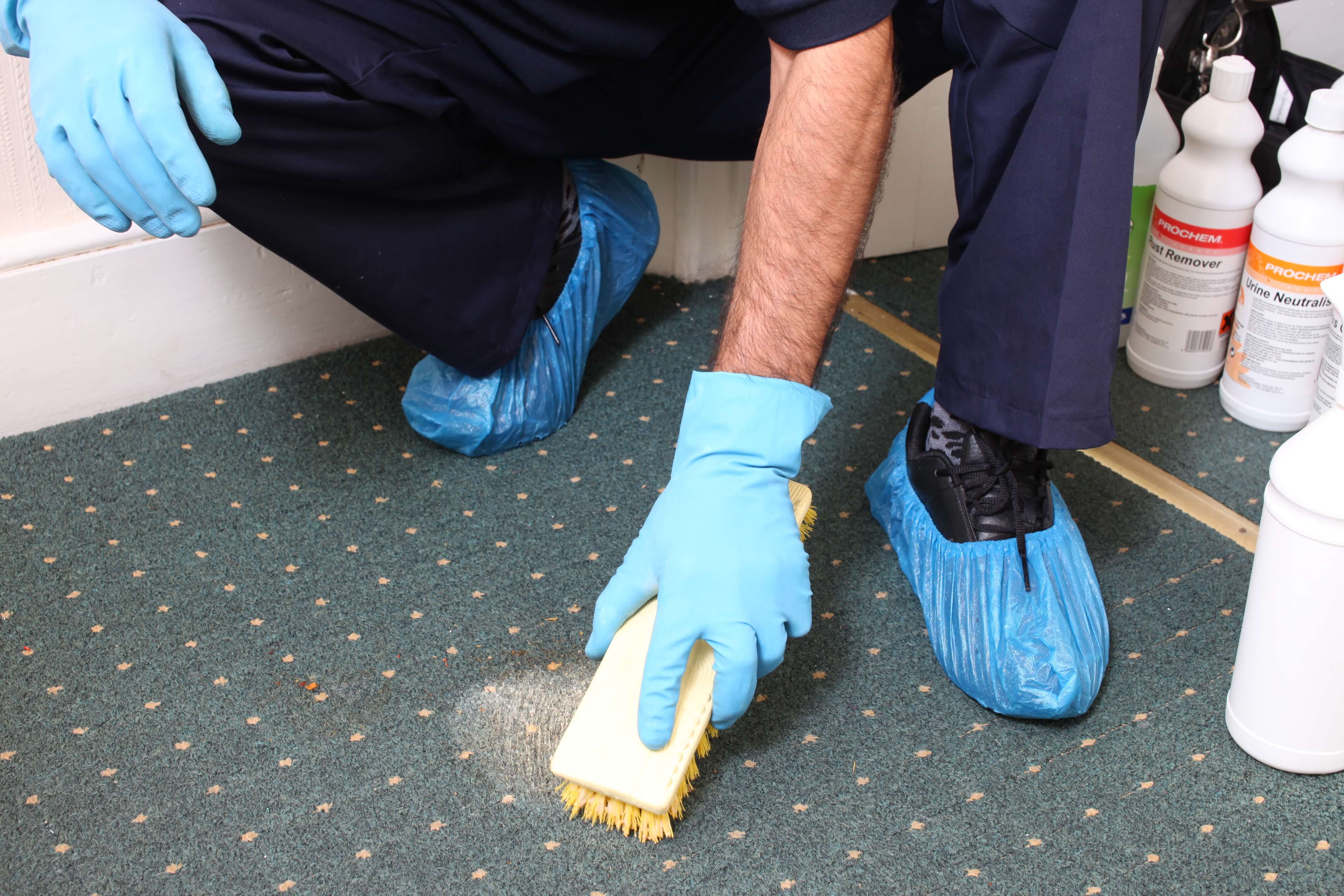 Carpet & Tile How Often Do You Need to Carpet Cleaning Services?