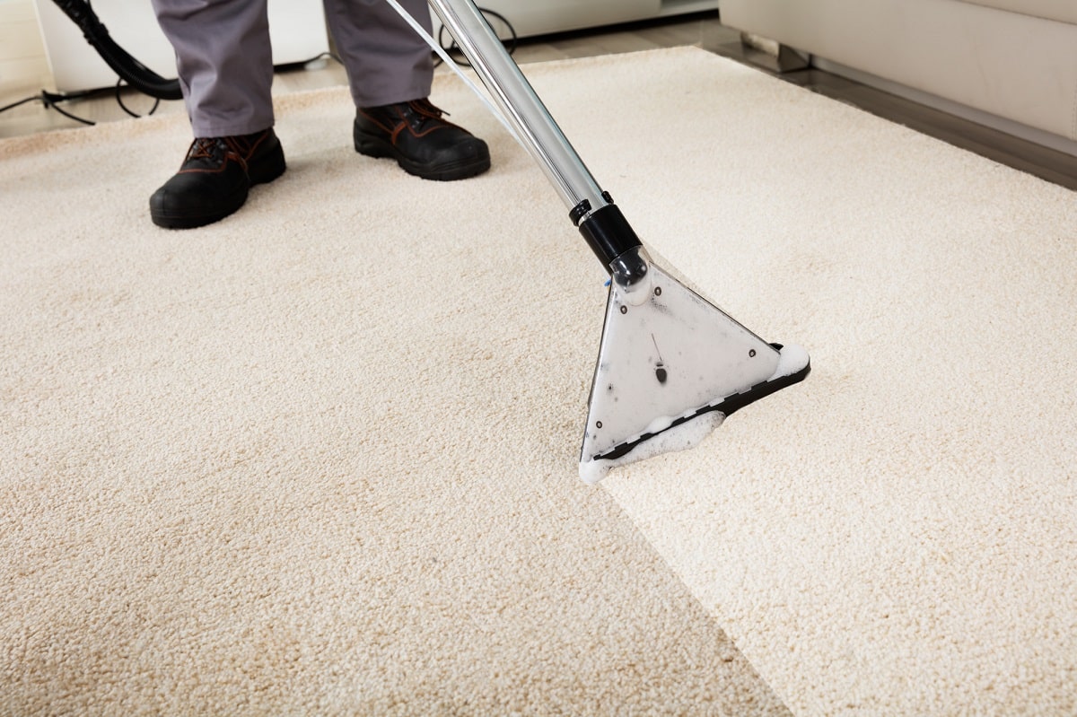 Homeowner's guide to carpet cleaning