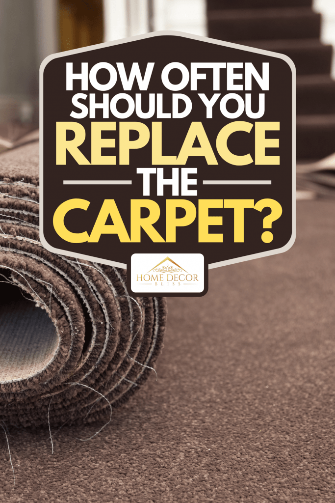 How Often Should You Replace The Carpet?