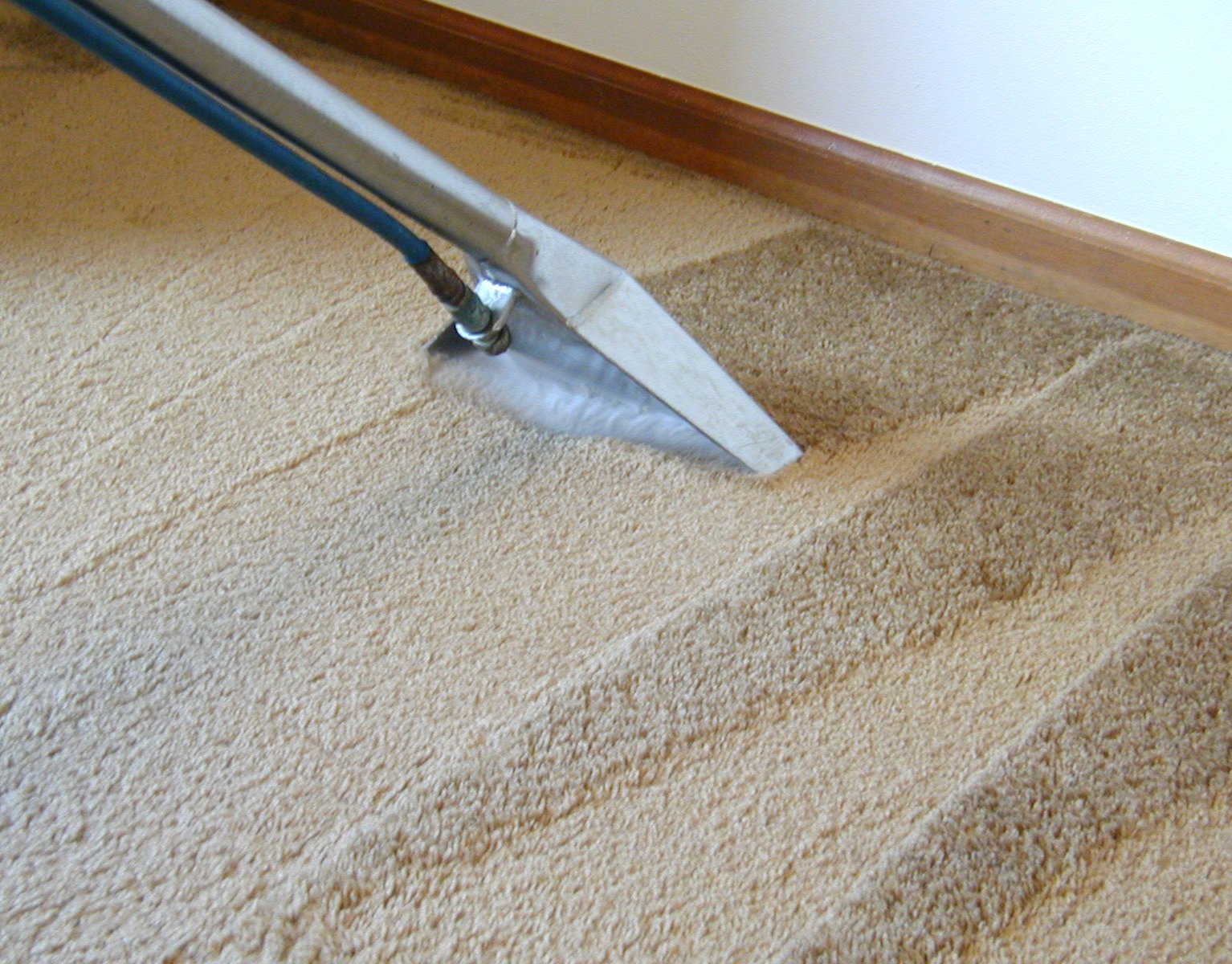 Hot Water Carpet Cleaning