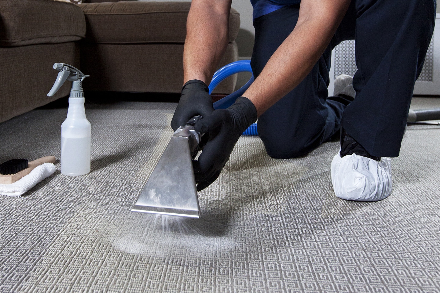 Carpet Cleaning Professionals in NYC & Nearby | Call 973-675-8313